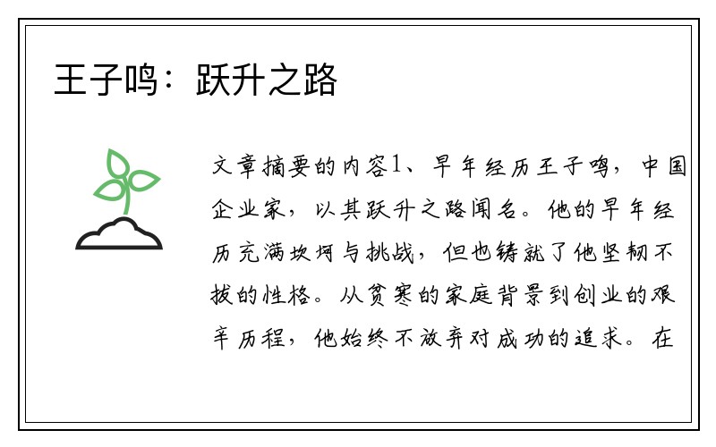 王子鸣：跃升之路