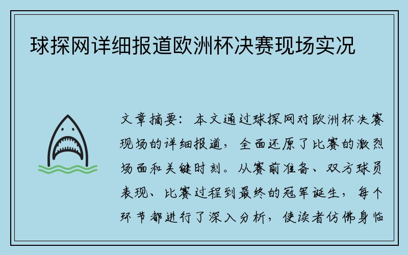 球探网详细报道欧洲杯决赛现场实况